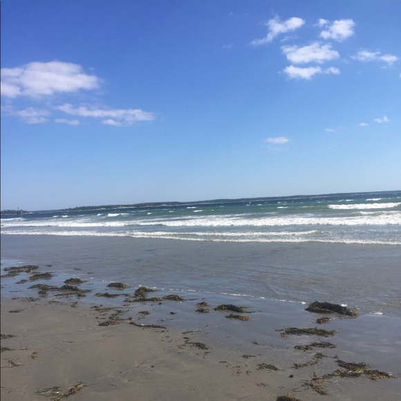 Meet your Posher, Grace - Picture 1 of 1